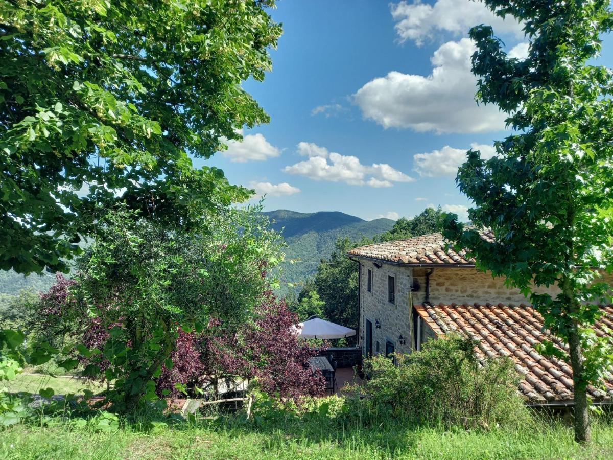 Valle Dame Apartman Cortona Kültér fotó