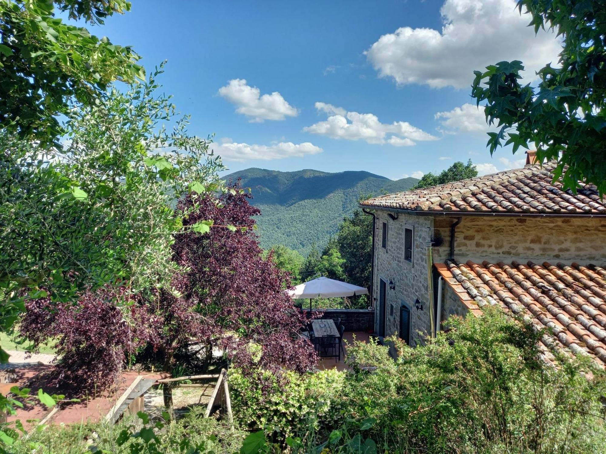 Valle Dame Apartman Cortona Kültér fotó