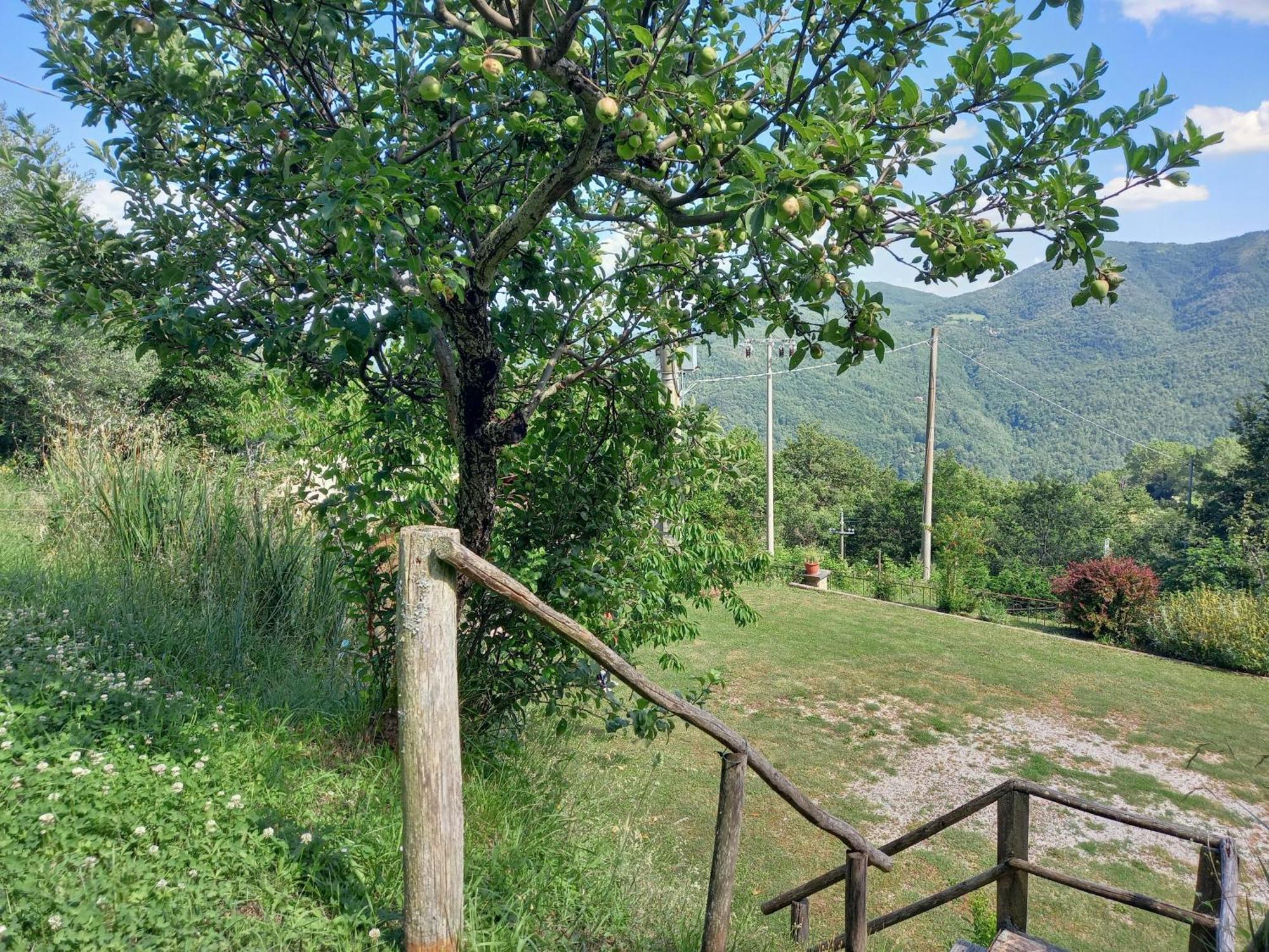 Valle Dame Apartman Cortona Kültér fotó